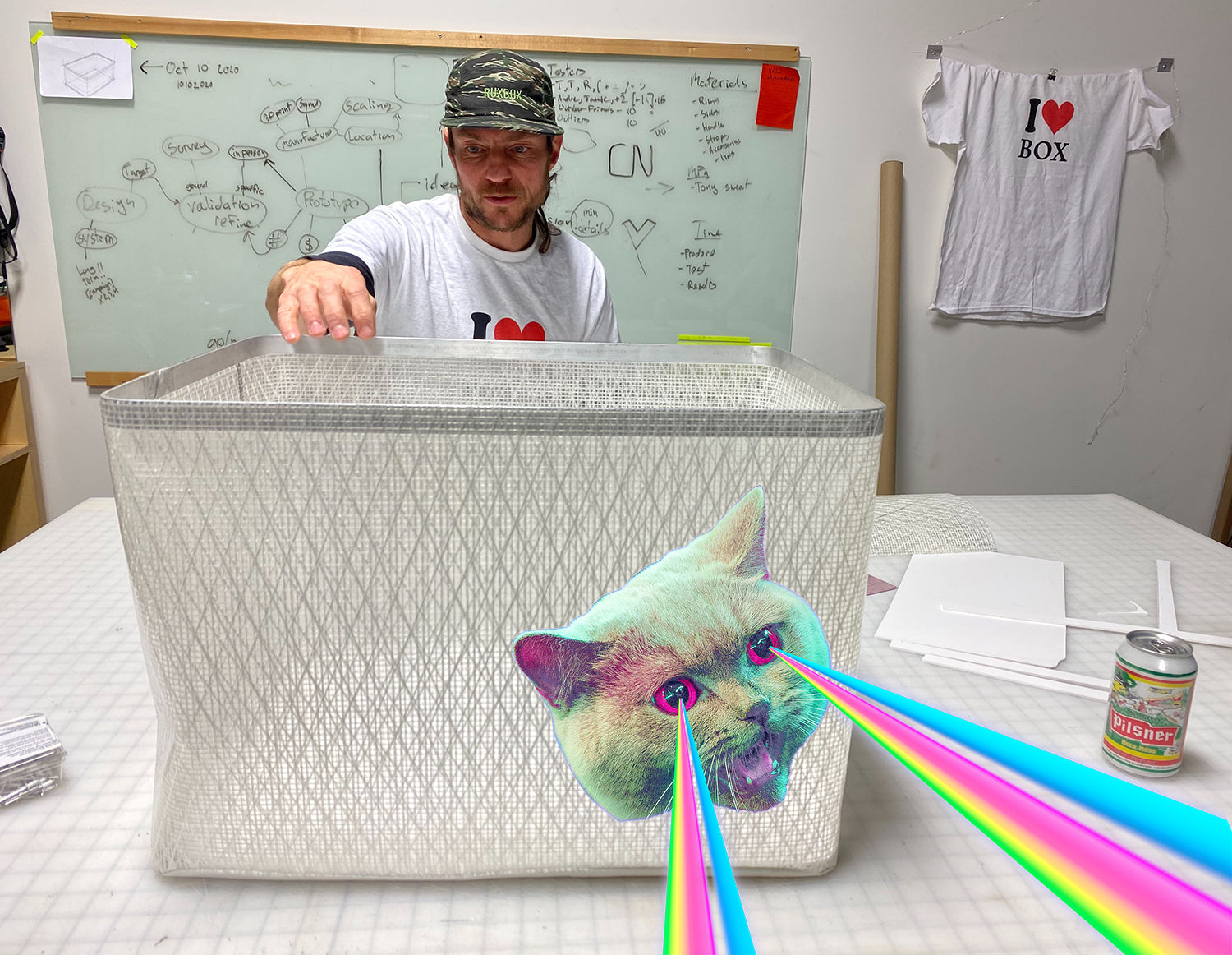 Birth of RUX and the (Almost) Last Kitten